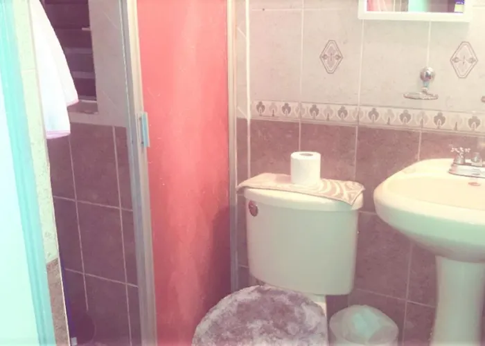 Completo 2br Y 2baño Cuadra De Reforma Y Zona Rosa Apartamento *